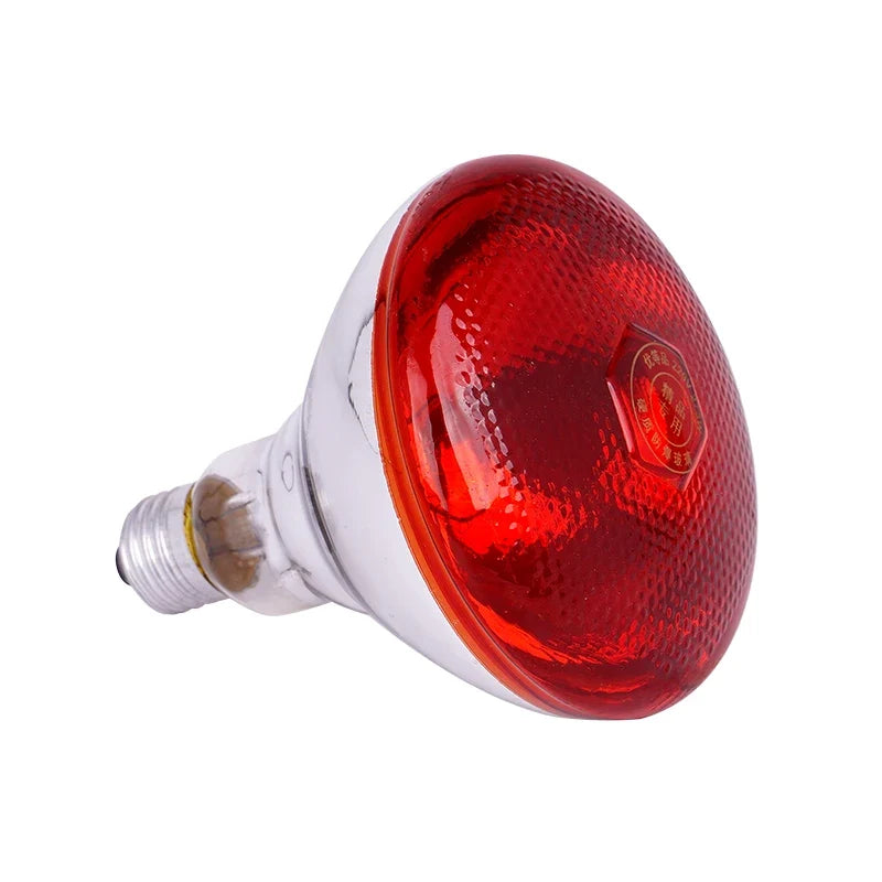 220V Heating Light Bulb Poultry Reptile - ProPawPet.com