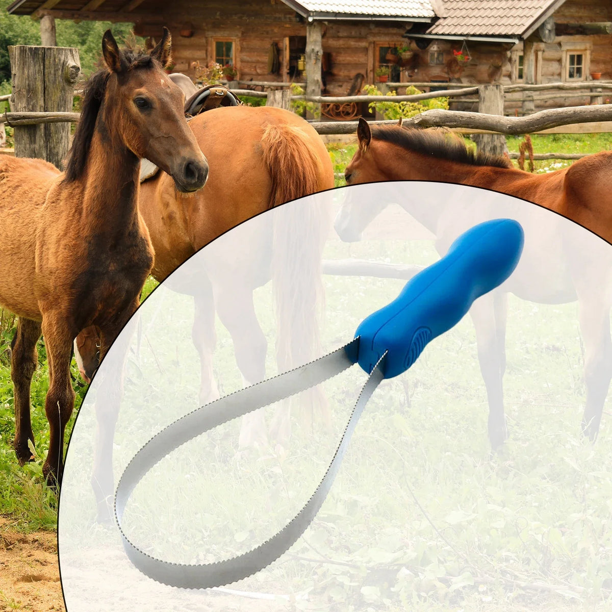Horse Grooming Comb Equestrian Brush Scraper - ProPawPet.com