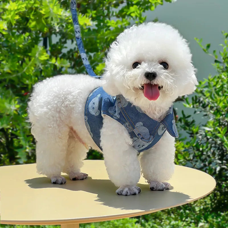 Denim Dog Harness and Lesh Set Pet Clothes - ProPawPet.com