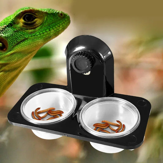 1pcs Reptile Tank Insect Spider Ants Nest - ProPawPet.com