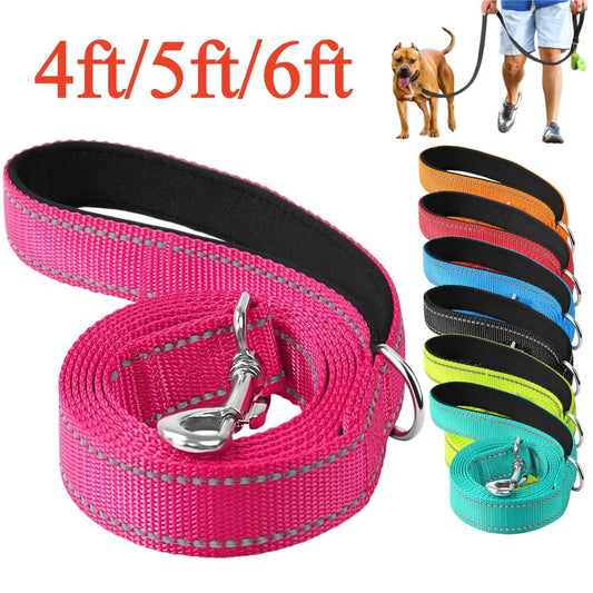 4/5/6ft Dog Leash Pet Harness Collar Lead - ProPawPet.com