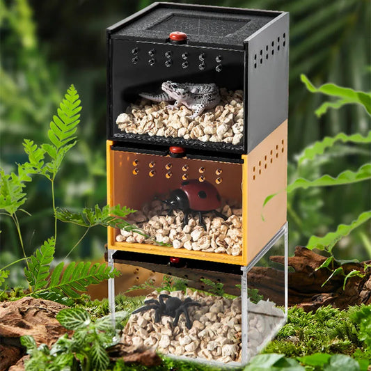 Aquarium Small Pet Spider Box Reptile - ProPawPet.com