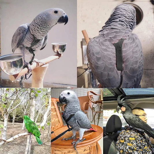 Bird Harness Ultra Light Leash Adjustable - ProPawPet.com