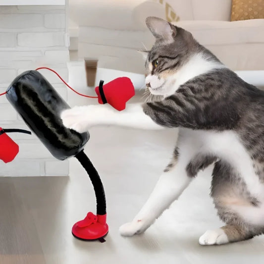 Cat Boxing Plaything Interactive Punching Bag