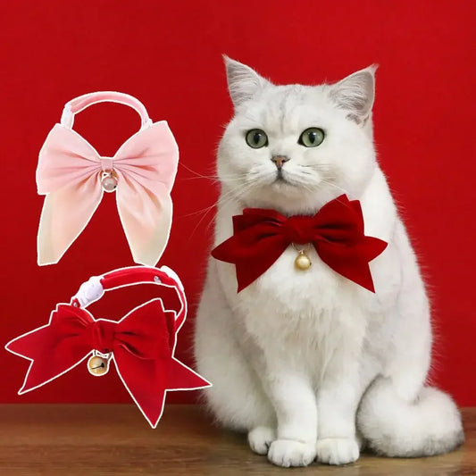Pet Collar Exquisite Comfortable Decorative - ProPawPet.com