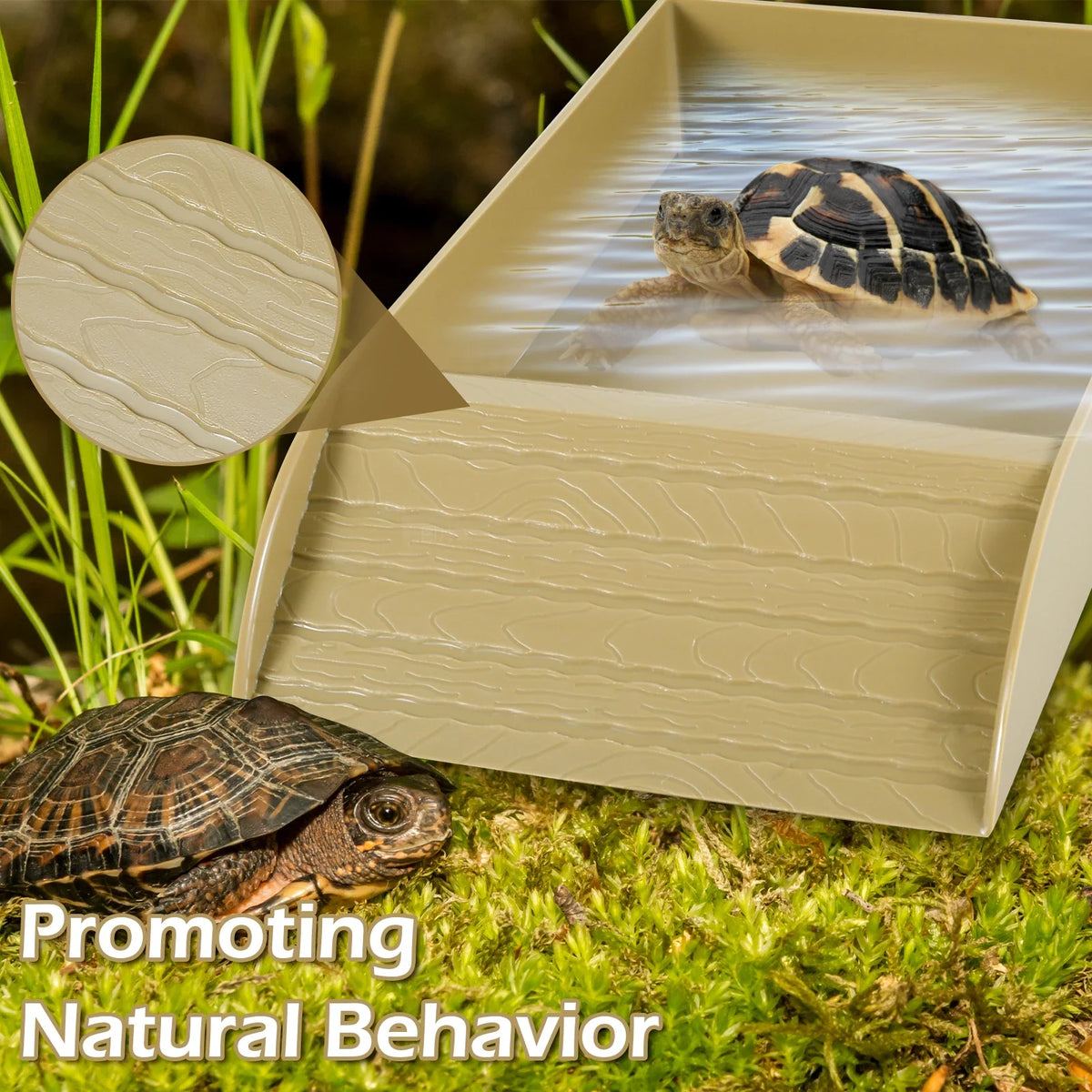 Plastic Tortoise Food Dish turtle tank Water - ProPawPet.com