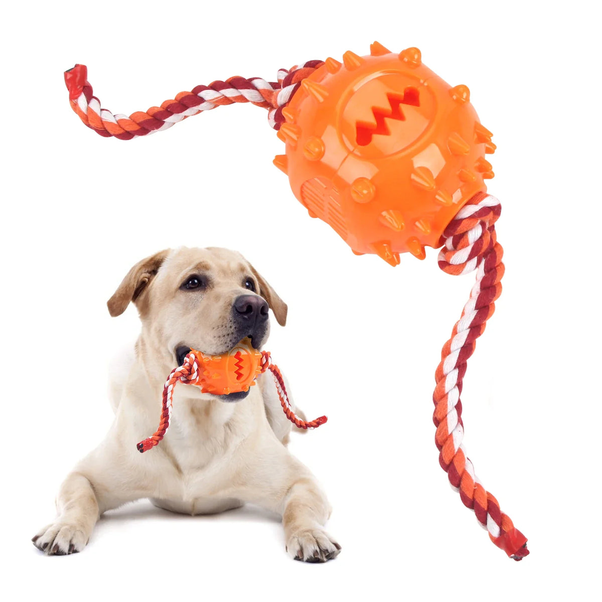 Dog Grinding Teeth Toys Chew Cleaning Anti Bite Interactive – Dog Supplies