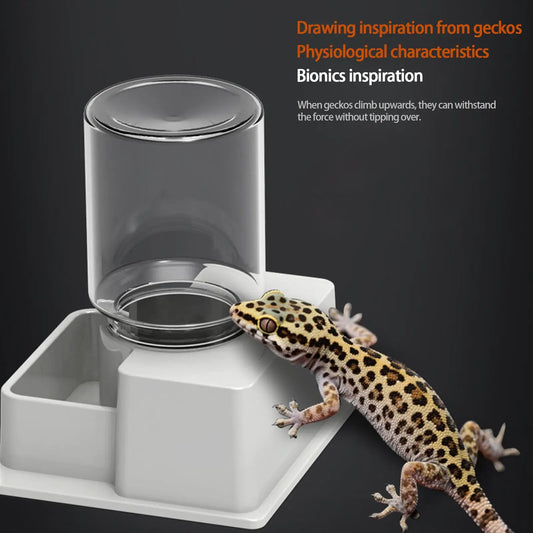 Reptile Water Fountain Detachable Terrarium - ProPawPet.com