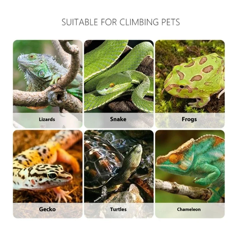 Clear Reptiles Feeding Tongs Ergonomic - ProPawPet.com