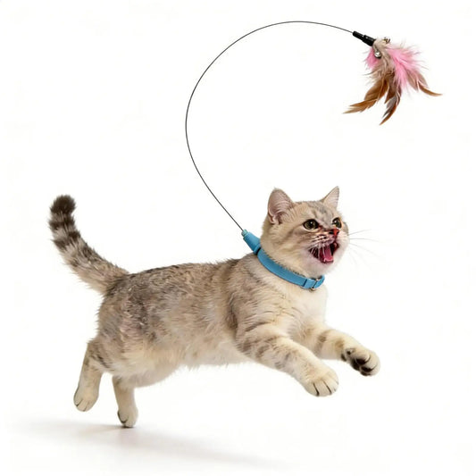 New Hot Feathers Toy with Collar For Cat - ProPawPet.com