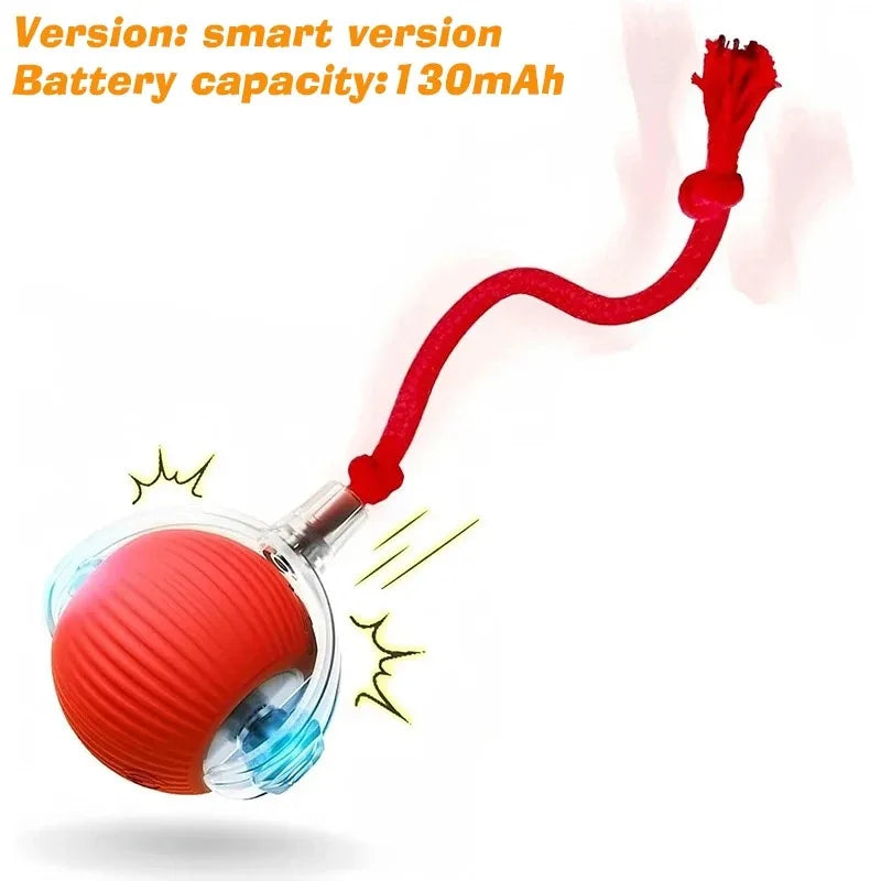 Pet Smart Interactive Ball, Rechargeable