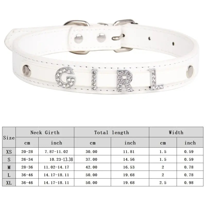 Custom Cat Dog Collar Personalized - ProPawPet.com