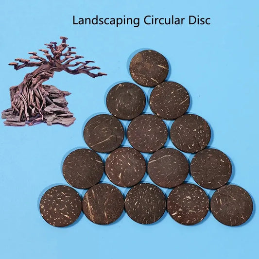 20/50Pcs Natural Coconut Shell Wood Aquarium - ProPawPet.com