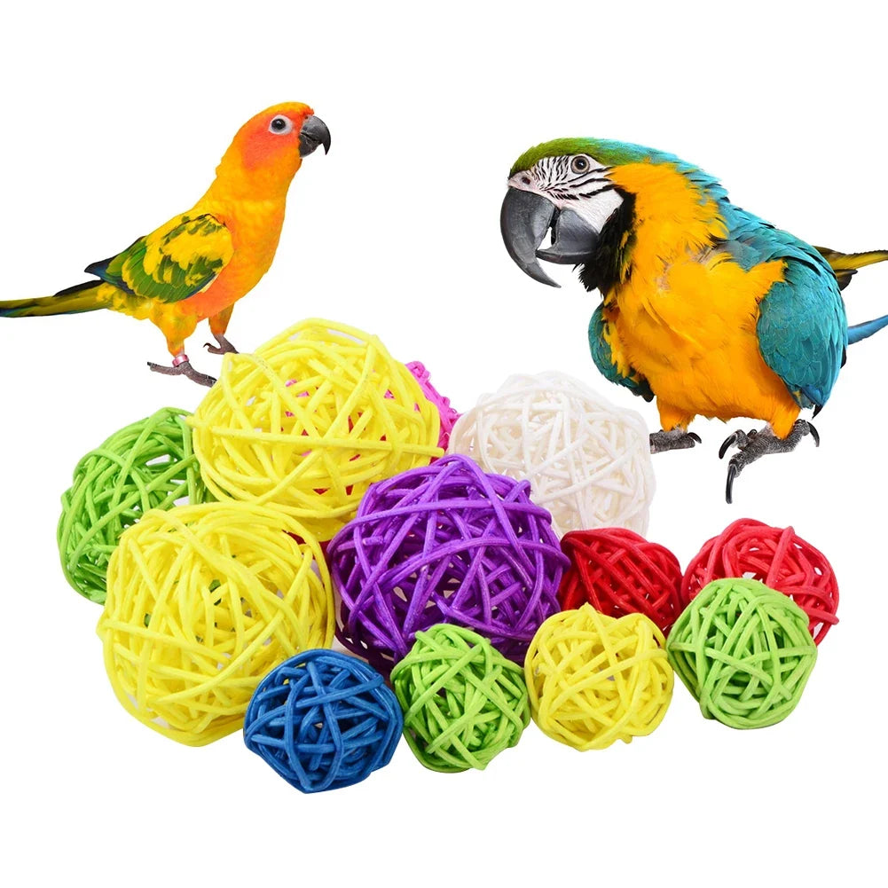 10Pcs Interactive Rattan Balls Parrot Toys - ProPawPet.com