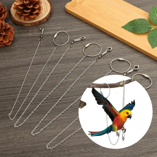 Bird Parrot Foot Chain Stainless Steel Ankle - ProPawPet.com