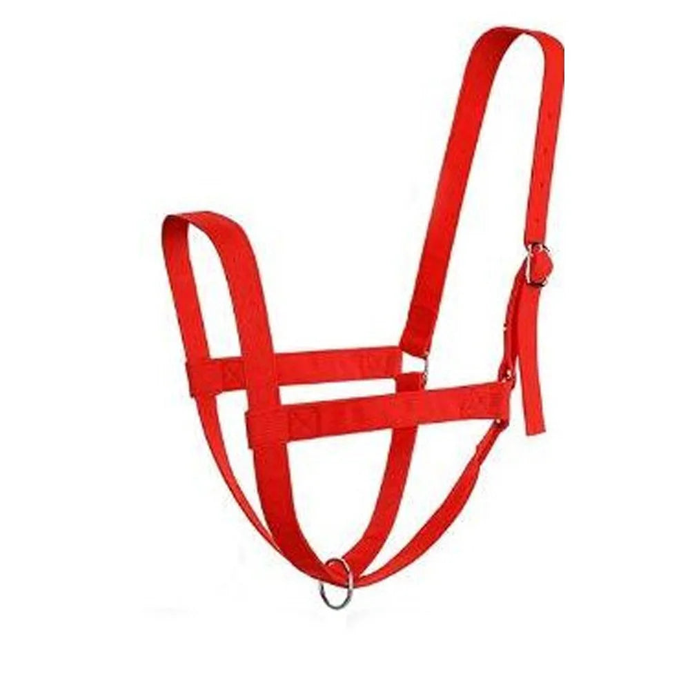 Adjustable Cow Halter with Leash Heavy Duty Durable Calf for Horses