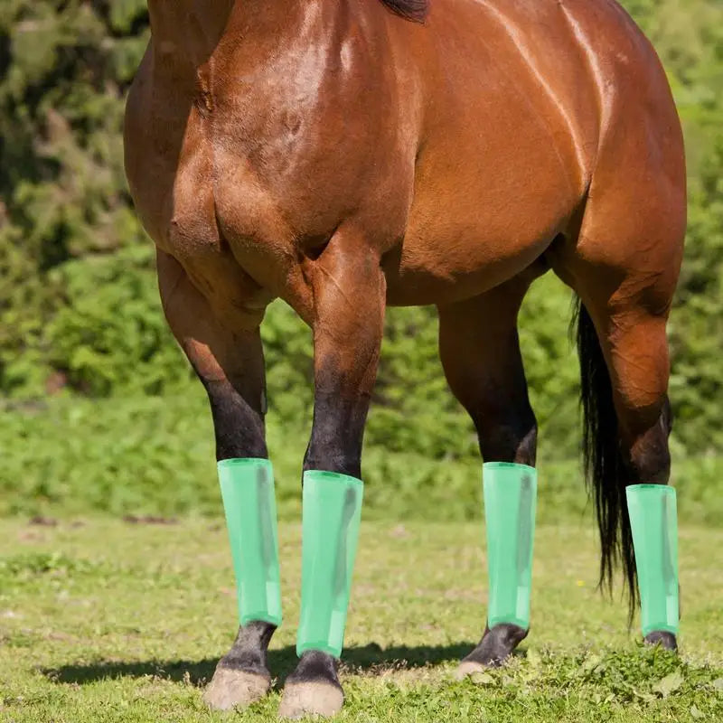 Horse Fly Boots 4 PCS Fly Boots Reusable For - ProPawPet.com
