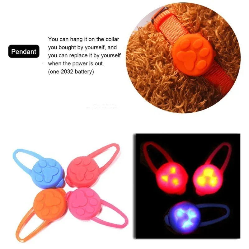 1Pc Pet Dog Night LED Flashlight Dog Cat - ProPawPet.com