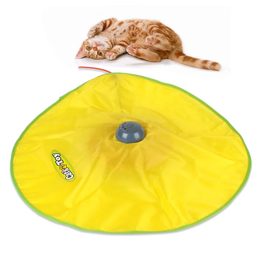 4 Speeds Motion Undercover Mouse Fabric - ProPawPet.com