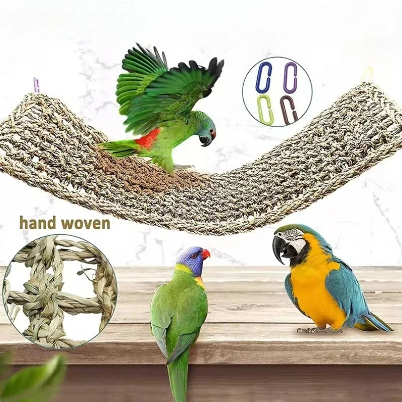 1PC Bearded Dragon Hammock Reptile Lounger - ProPawPet.com