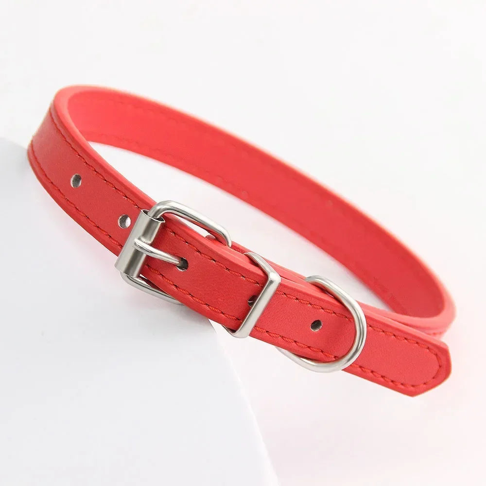 Colorful Leather Puppy Cat Collar Cute - ProPawPet.com