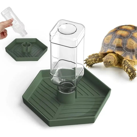 Turtle Food Bowl Anti-slip Reptiles Water - ProPawPet.com