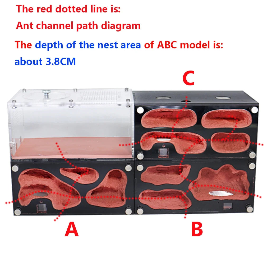 Acrylic Ant Farm Temperature Control - ProPawPet.com
