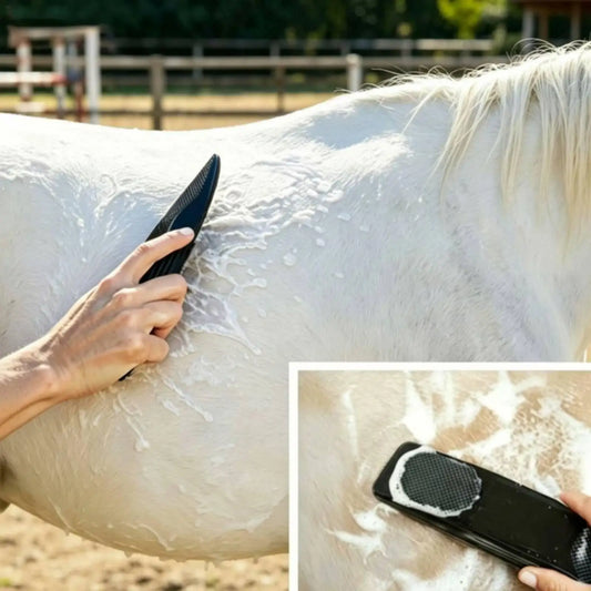 Horse Grooming Brush Rectangular Body - ProPawPet.com