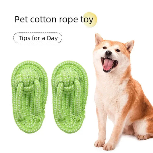 Pet Interactive Chewing Toy Slipper Shaped - ProPawPet.com