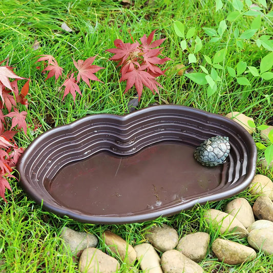 Reptile Bathing Pool Amphibians Accessories - ProPawPet.com