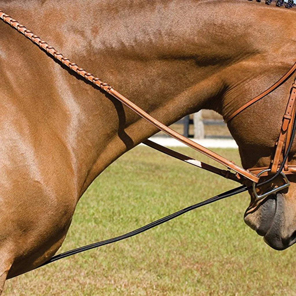 Horse Lunging Rein Elastic Neck Stretcher - ProPawPet.com