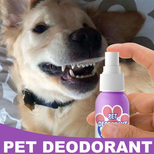 60ml Pet Oral Cleaner Swallowable Dog Bad - ProPawPet.com