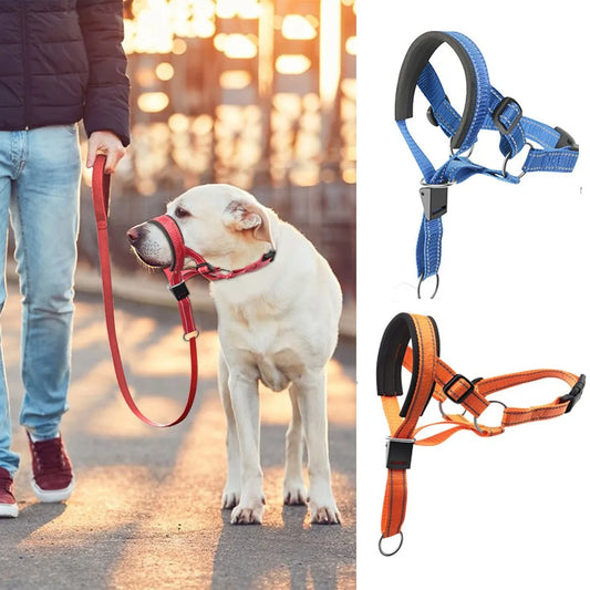 Traction Dog Mouth Cover Training with Nose - ProPawPet.com