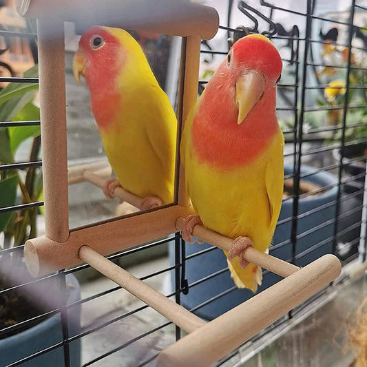 Bird Mirror Parrot Mirror Wooden Interactive - ProPawPet.com