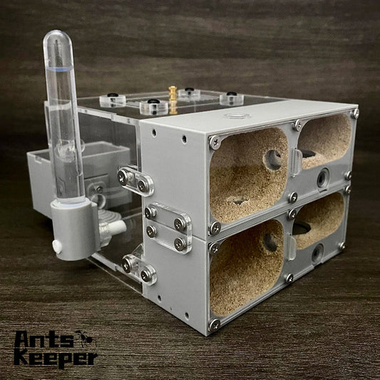 【Valley】Ant Farm for Myrmecocystus , fit for - ProPawPet.com