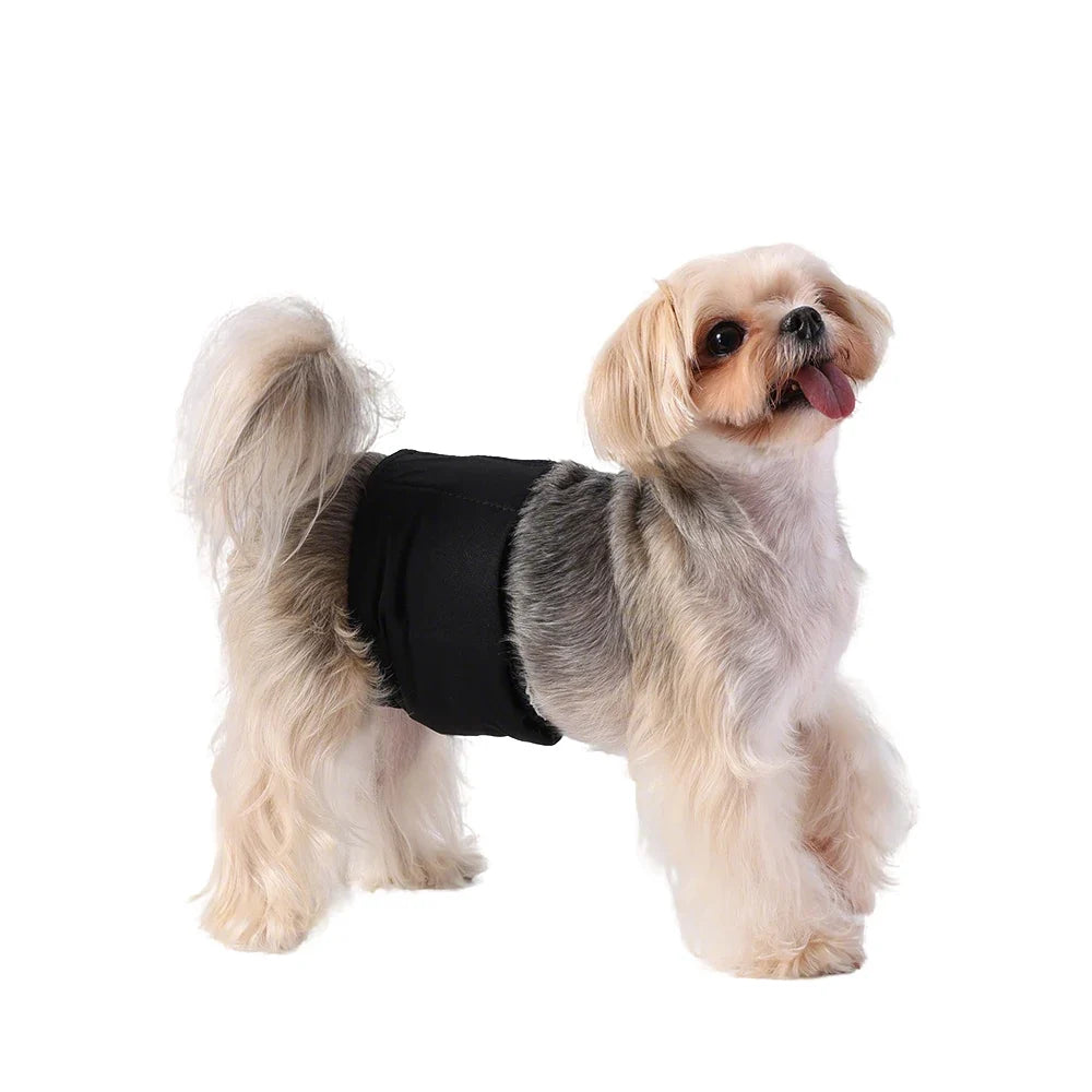 3pcs Reusable Belly Band for Male Dogs - ProPawPet.com