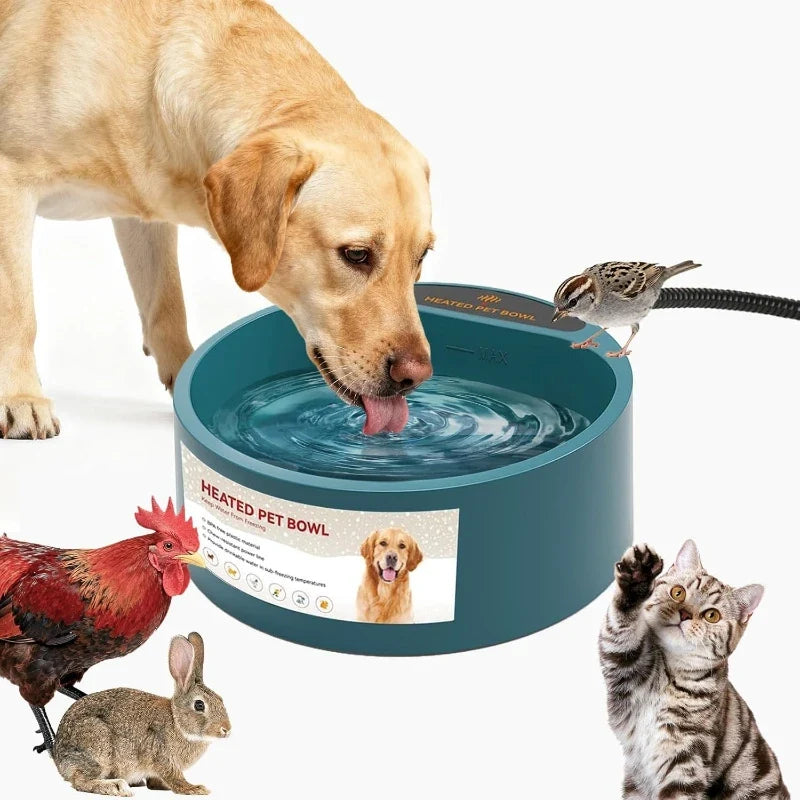 2.2l Heated Dog Dish, Provides No Freeze Water Pet Heater