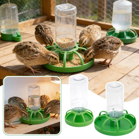 New Reptile Water Drinker Dispenser Food - ProPawPet.com