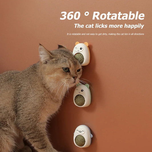 Plastic Catnip Ball Natural Safe Cats Catnip - ProPawPet.com