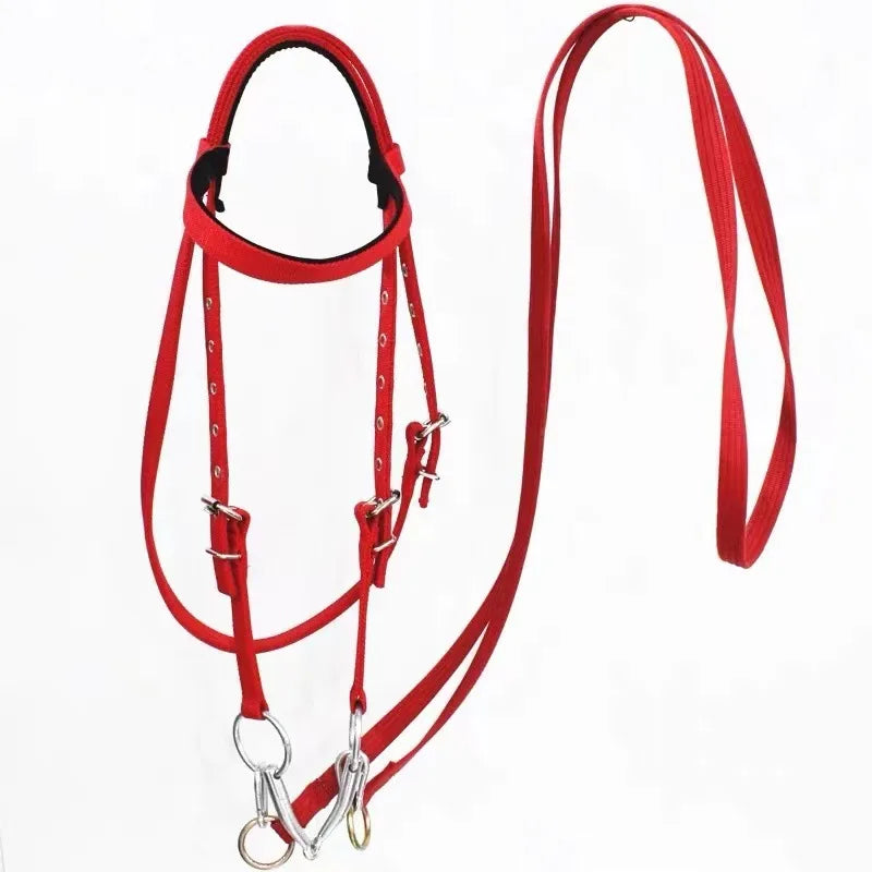 Horse Bridle Harness Set – PU Leather - ProPawPet.com