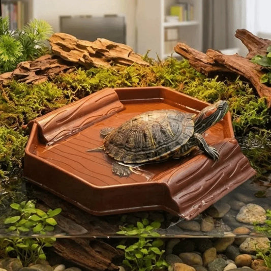 Plastic Tortoise Water Dish with Ramp - ProPawPet.com