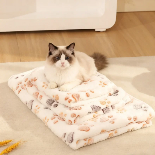Winter High Quality Soft Fluffy Blanket Cute - ProPawPet.com