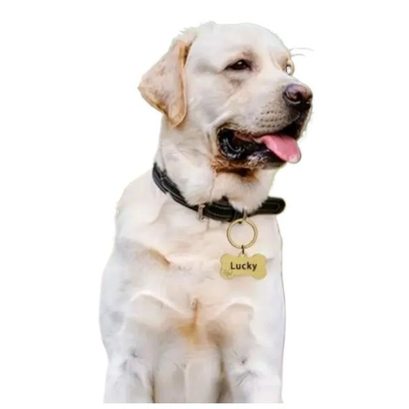 50Pcs Stainless Steel Personalized Engraving - ProPawPet.com