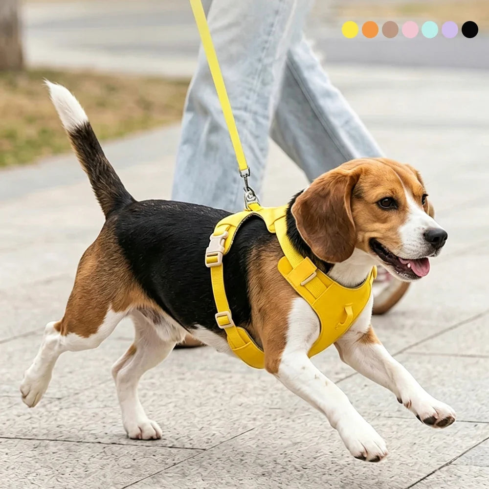 Lightweight Dog Harness & Leash Set - ProPawPet.com