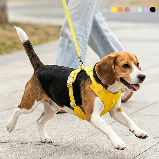 Lightweight Dog Harness & Leash Set - ProPawPet.com