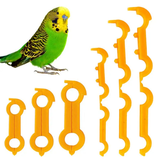 5Pcs 4/5/6Mm Parrot Corrector Chicken Budgie - ProPawPet.com
