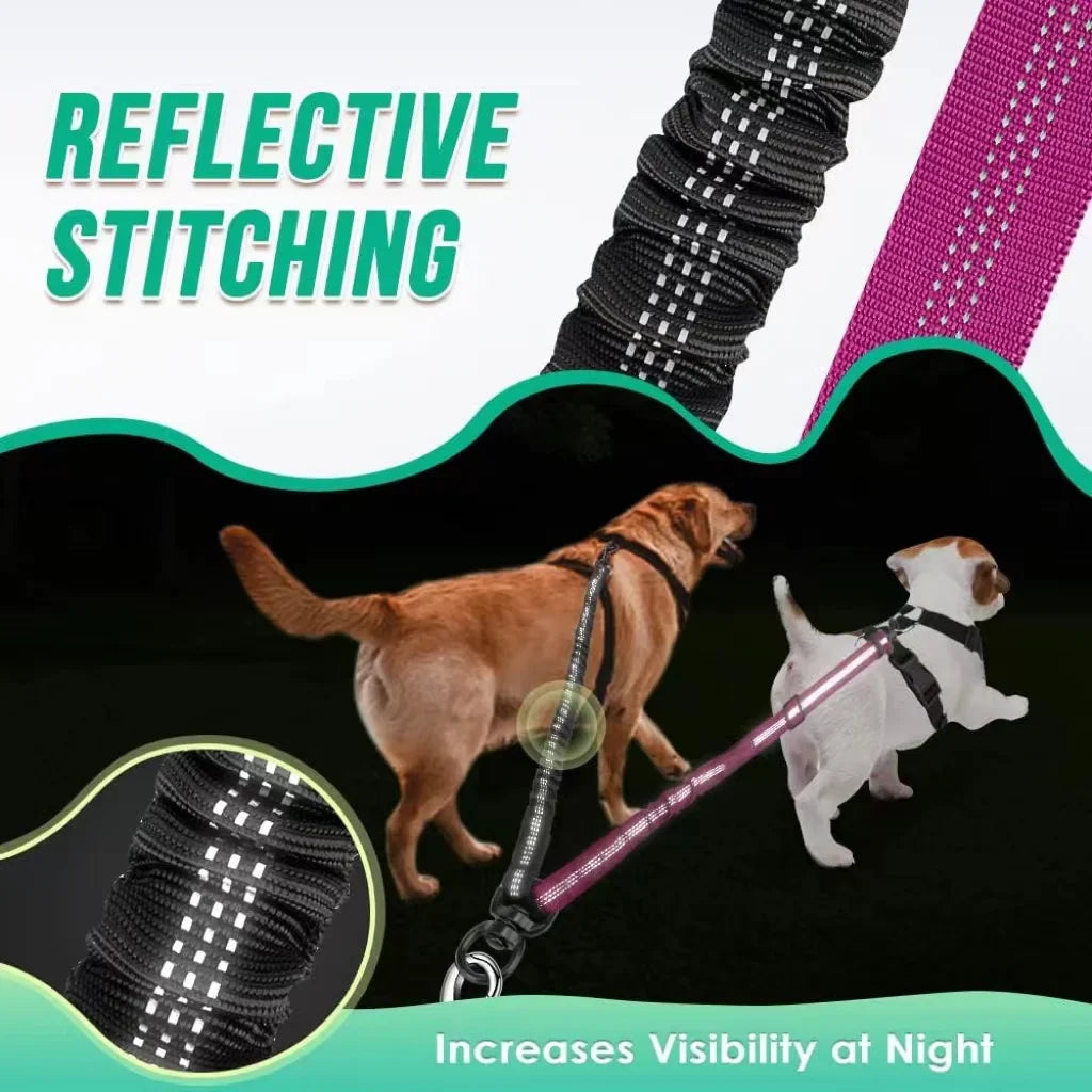 1.6ft Long Dual Dog Leash Attachment - - ProPawPet.com