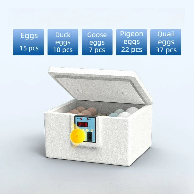 Waterbed Egg Incubator Provides Precise Temperature Control for Birds