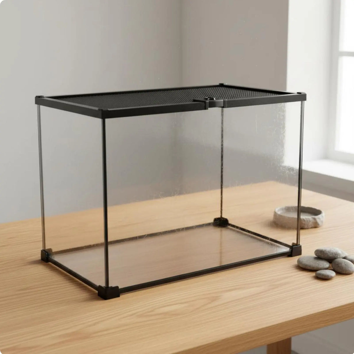 Glass Amphibian Terrarium – 8 Colors