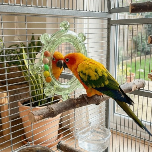 Colorful Ball Parrot Mirror Wear-Resisting - ProPawPet.com